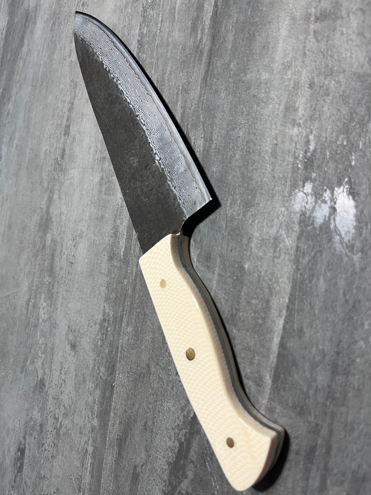 Gyuto ivoire (coutelleriestl)